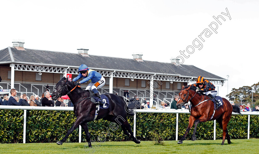 Nobleman s-Nest-0001 
 NOBLEMAN'S NEST (Silvestre De Sousa) beats CROWNTHORPE (right) in The Owlerton Greyhound Stadium Nursery Doncaster 13 Sep 2017 - Pic Steven Cargill / Racingfotos.com