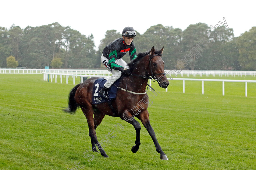 Dillian-0001 
 DILLIAN (David Egan)
Ascot 30 Sep 2022 - Pic Steven Cargill / Racingfotos.com