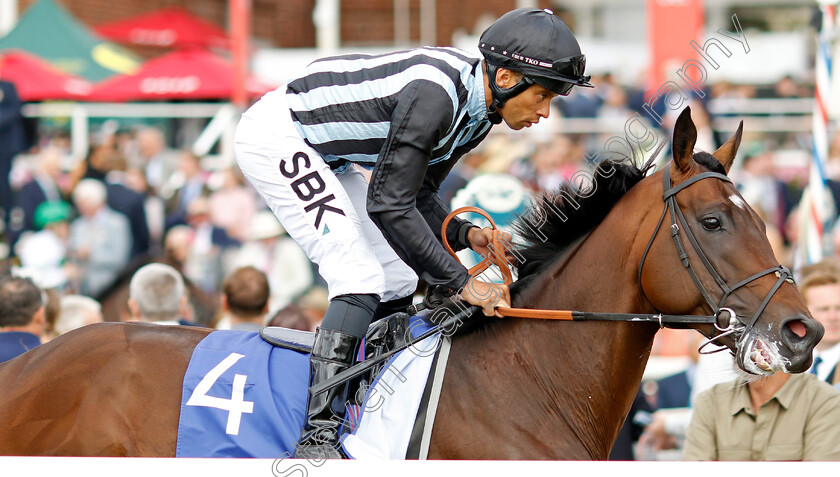 Fancy-Man 
 FANCY MAN (Sean Levey)
York 20 Aug 2022 - Pic Steven Cargill / Racingfotos.com