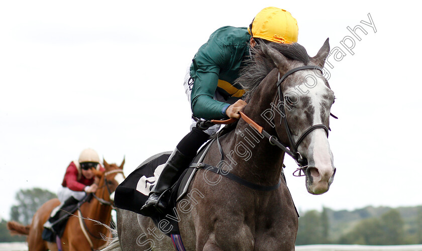 Chatham-House-0005 
 CHATHAM HOUSE (Sean Levey) wins The Donnington Grove Veterinary Surgery Handicap
Newbury 6 Aug 2019 - Pic Steven Cargill / Racingfotos.com