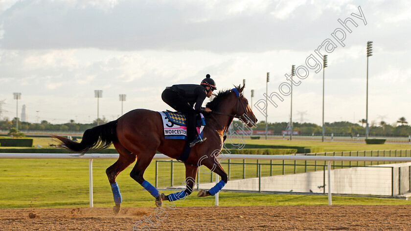 Worcester-0001 
 WORCESTER training for the UAE Derby
Meydan, Dubai, 23 Mar 2023 - Pic Steven Cargill / Racingfotos.com