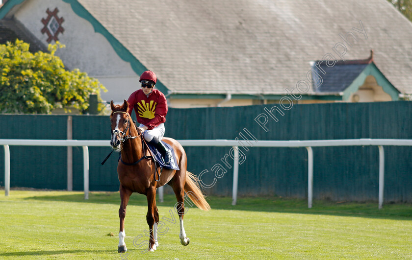 Your-Lordship-0001 
 YOUR LORDSHIP (Harry Davies)
Yarmouth 18 Sep 2024 - Pic Steven Cargill / Racingfotos.com