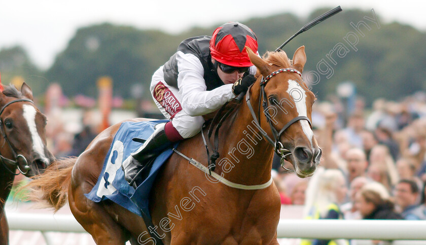 Search-For-A-Song-0006 
 SEARCH FOR A SONG (Oisin Murphy) wins The British EBF & Sir Henry Cecil Galtres Stakes
York 22 Aug 2019 - Pic Steven Cargill / Racingfotos.com