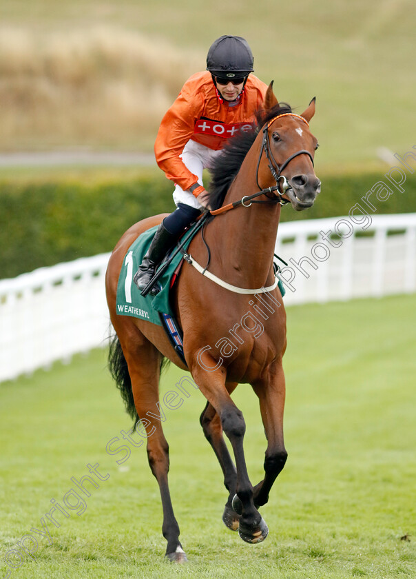 Double-Or-Bubble-0009 
 DOUBLE OR BUBBLE (Jack Mitchell) winner of The Weatherbys Stallion Book Supreme Stakes
Goodwood 28 Aug 2022 - Pic Steven Cargill / Racingfotos.com