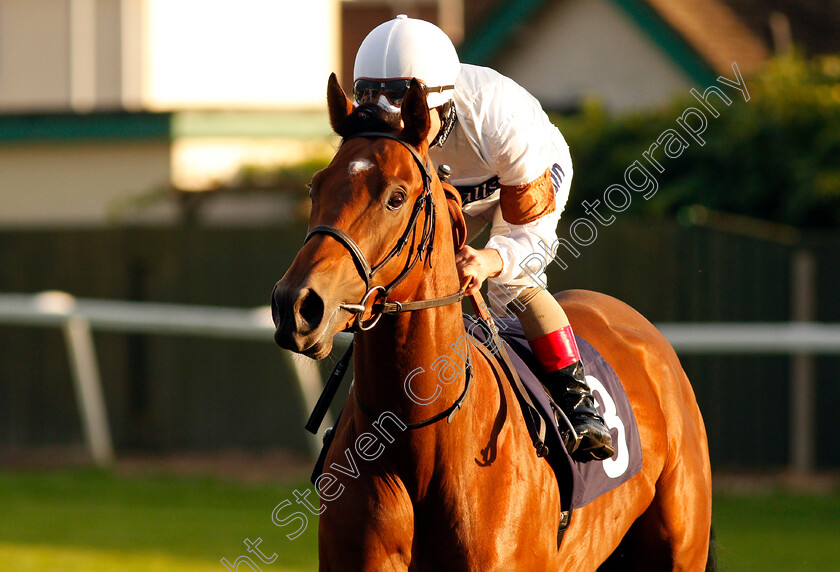 Equitation-0002 
 EQUITATION (Andrea Atzeni) winner of The Parkdean Resorts Creating Amazing Memories Handicap Yarmouth 20 Sep 2017 - Pic Steven Cargill / Racingfotos.com