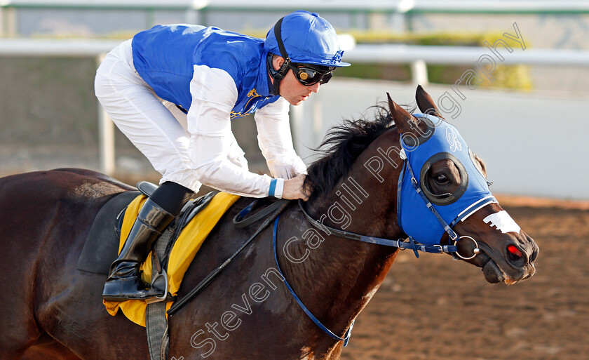 Shillong-0007 
 SHILLONG (Pat Cosgrave) wins The British University Dubai Handicap Jebel Ali 26 Jan 2018 - Pic Steven Cargill / Racingfotos.com