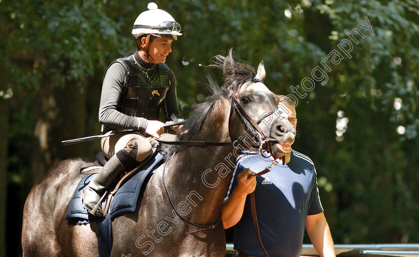 Roaring-Lion-0004 
 ROARING LION (Kieran O'Neill) before working on the racecourse
Newmarket 30 Jun 2018 - Pic Steven Cargill / Racingfotos.com