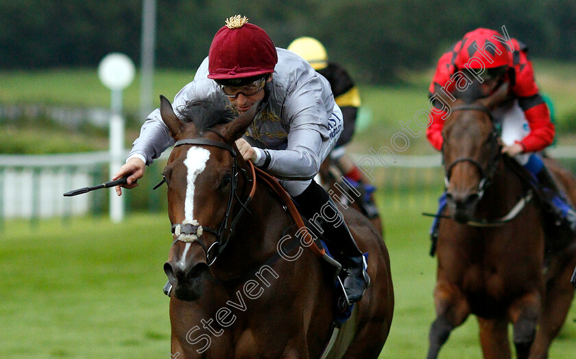 Al-Messila-0006 
 AL MESSILA (Pat Dobbs) wins The Mansionbet Fillies Handicap
Nottingham 16 Jul 2019 - Pic Steven Cargill / Racingfotos.com