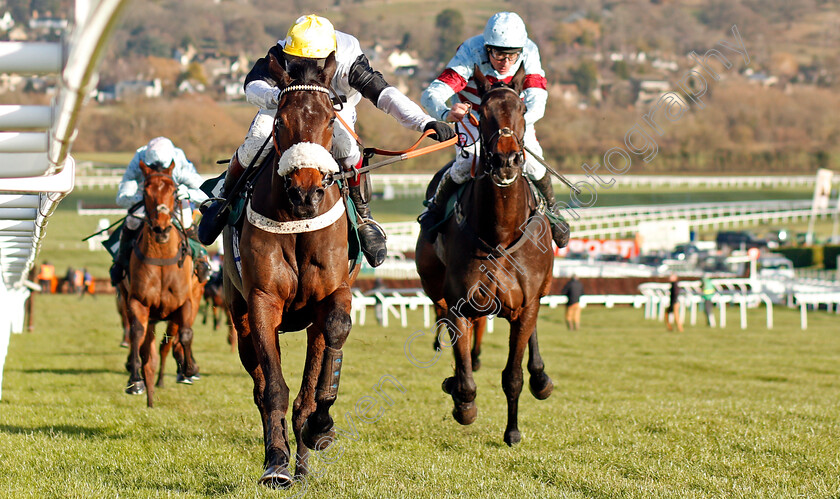 Western-Ryder-0002 
 WESTERN RYDER (Richard Johnson) wins The British Stallion Studs EBF National Hunt Novices Hurdle Cheltenham 15 Dec 2017 - Pic Steven Cargill / Racingfotos.com