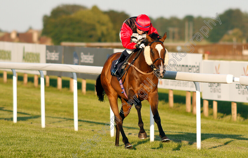 Sigrid-Nansen-0007 
 SIGRID NANSEN (Cieren Fallon) wins The Value Rater Racing Club Handicap
Bath 3 Jul 2019 - Pic Steven Cargill / Racingfotos.com