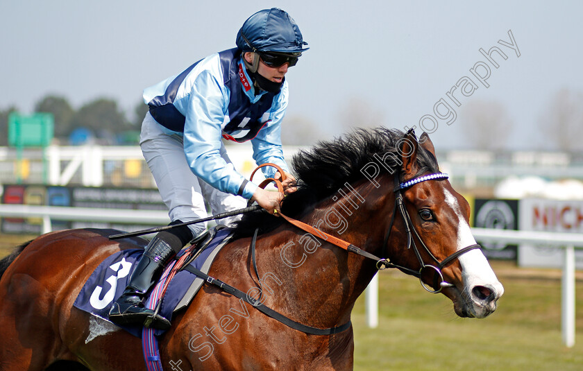 Coverham-0004 
 COVERHAM (Theodore Ladd) wins The quinnbet.com Handicap
Yarmouth 20 Apr 2021 - Pic Steven Cargill / Racingfotos.com