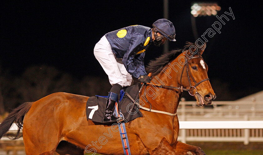 Shimmering-Dawn-0003 
 SHIMMERING DAWN (Tom Eaves) winner of The chelmsfordcityracecourse.com Fillies Conditions Stakes
Chelmsford 18 Feb 2021 - Pic Steven Cargill / Racingfotos.com