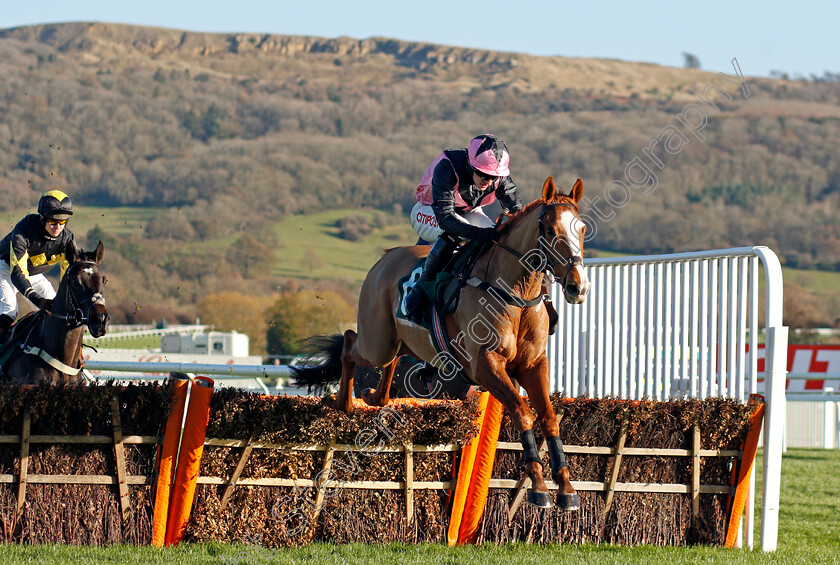 Socialist-Agenda-0003 
 SOCIALIST AGENDA (Adam Wedge)
Cheltenham 10 Dec 2021 - Pic Steven Cargill / Racingfotos.com