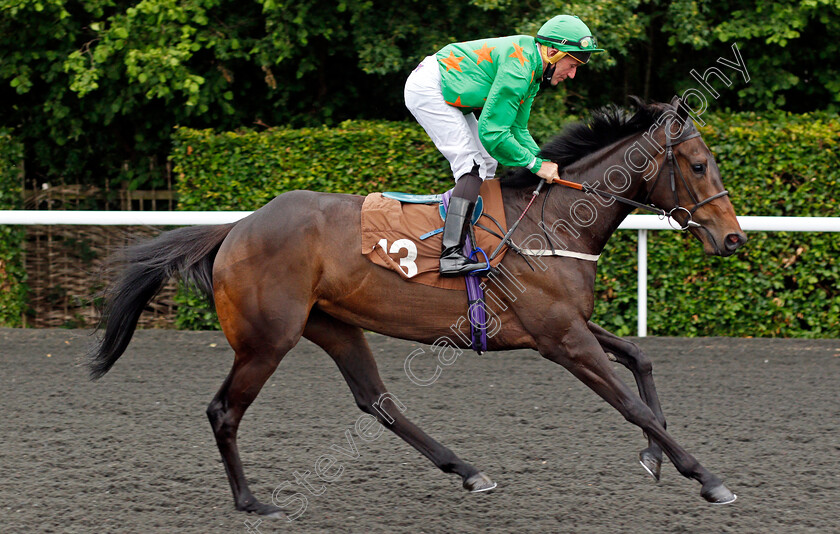 Skedaddled-0001 
 SKEDADDLED (John Egan)
Kempton 2 Jun 2021 - Pic Steven Cargill / Racingfotos.com