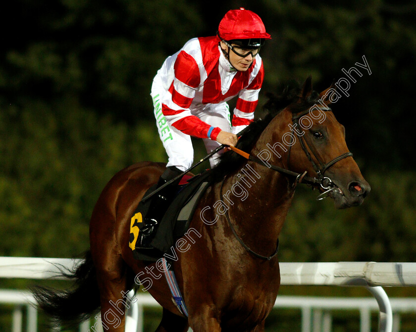 Mobham-0001 
 MOBHAM (Jamie Spencer)
Kempton 18 Sep 2018 - Pic Steven Cargill / Racingfotos.com