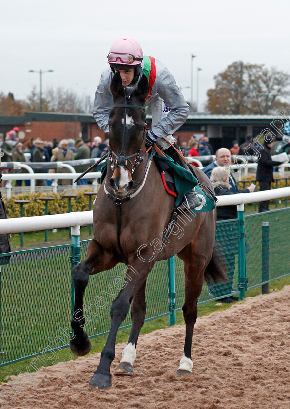 Armchair-Farmer-0001 
 ARMCHAIR FARMER (Connor Brace)
Warwick 9 Dec 2021 - Pic Steven Cargill / Racingfotos.com