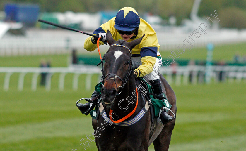 Excitable-Island-0005 
 EXCITABLE ISLAND (Gina Andrews) wins The Cheltenham Club Open Hunters Chase Cheltenham 4 May 2018 - Pic Steven Cargill / Racingfotos.com