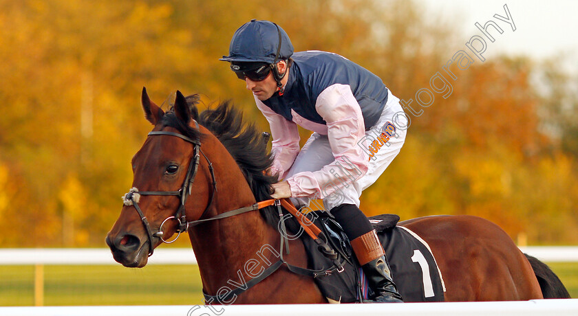 Montague-0001 
 MONTAGUE (Dougie Costello) winner of The Bet toteplacepot At betfred.com Claiming Stakes Chelmsford 12 Oct 2017 - Pic Steven Cargill / Racingfotos.com