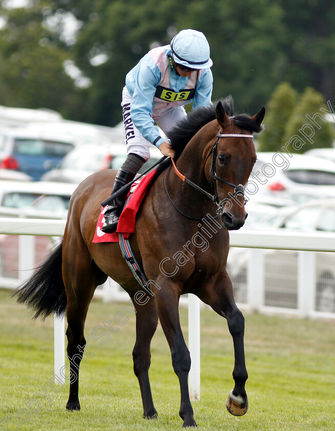 Brigand-0002 
 BRIGAND (Tom Marquand)
Sandown 15 Jun 2018 - Pic Steven Cargill / Racingfotos.com