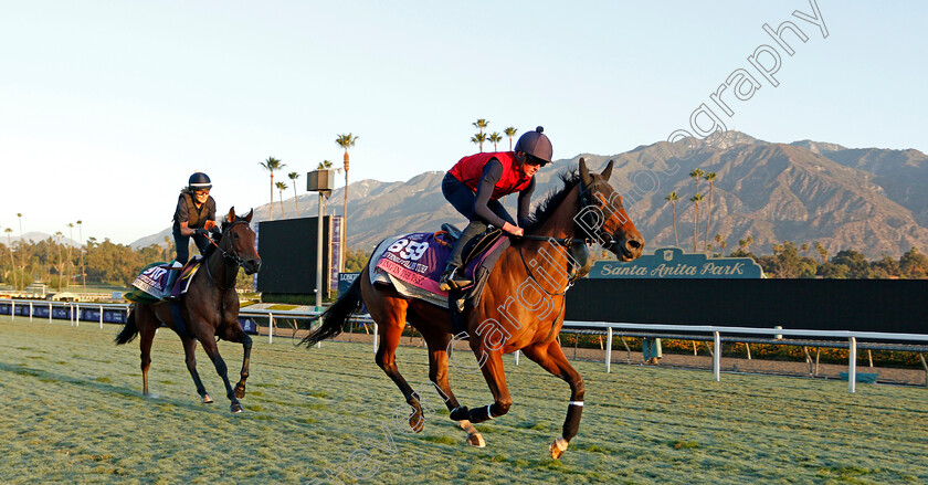 Living-In-The-Past-0002 
 LIVING IN THE PAST training for the Breeders' Cup Juvenile Fillies Turf
Santa Anita USA 30 Oct 2019 - Pic Steven Cargill / Racingfotos.com