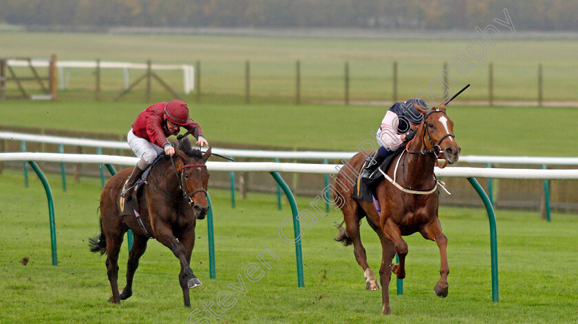 Freyja-0003 
 FREYJA (Silvestre De Sousa) beats SUN BEAR (left) in The Best Odds Guaranteed At Mansionbet Fillies Handicap
Newmarket 21 Oct 2020 - Pic Steven Cargill / Racingfotos.com