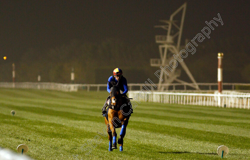 Lord-North-0004 
 LORD NORTH (Frankie Dettori) training for The Dubai Turf
Meydan, Dubai, 24 Mar 2022 - Pic Steven Cargill / Racingfotos.com