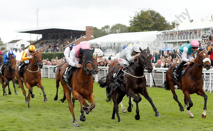 Maid-For-Life-0001 
 MAID FOR LIFE (left, P J McDonald) beats WARNING FIRE (centre) and CHALEUR (right) in The Unibet Fillies Handicap
Goodwood 30 Jul 2019 - Pic Steven Cargill / Racingfotos.com