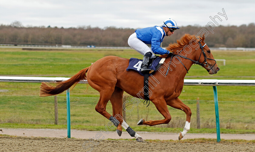 Waleefy-0002 
 WALEEFY (Greg Cheyne)
Lingfield 23 Dec 2023 - Pic Steven Cargill / Racingfotos.com