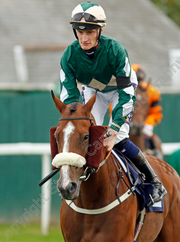 Hello-Me-0001 
 HELLO ME (Daniel Muscutt)
Yarmouth 13 Sep 2022 - Pic Steven Cargill / Racingfotos.com