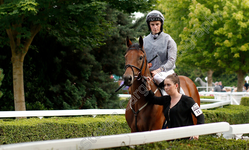 Silent-Agenda-0001 
 SILENT AGENDA (Adam McNamara)
Kempton 10 JUl 2019 - Pic Steven Cargill / Racingfotos.com