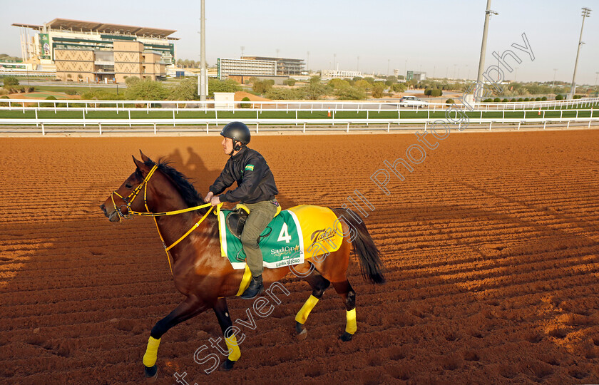 Ushba-Tesoro-0001 
 USHBA TESORO training for The Saudi Cup
King Abdulaziz Racecourse, Saudi Arabia 20 Feb 2024 - Pic Steven Cargill / Racingfotos.com