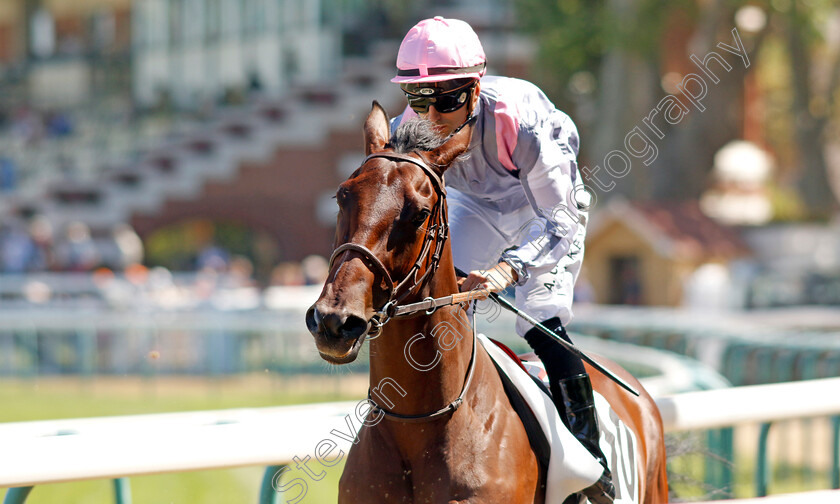 Shalromy-0001 
 SHALROMY (A Crastus)
Deauville 6 Aug 2022 - Pic Steven Cargill / Racingfotos.com