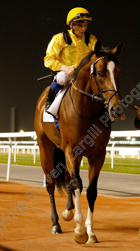 Giant-Hero-0001 
 GIANT HERO (Chris Hayes)
Meydan 10 Jan 2019 - Pic Steven Cargill / Racingfotos.com