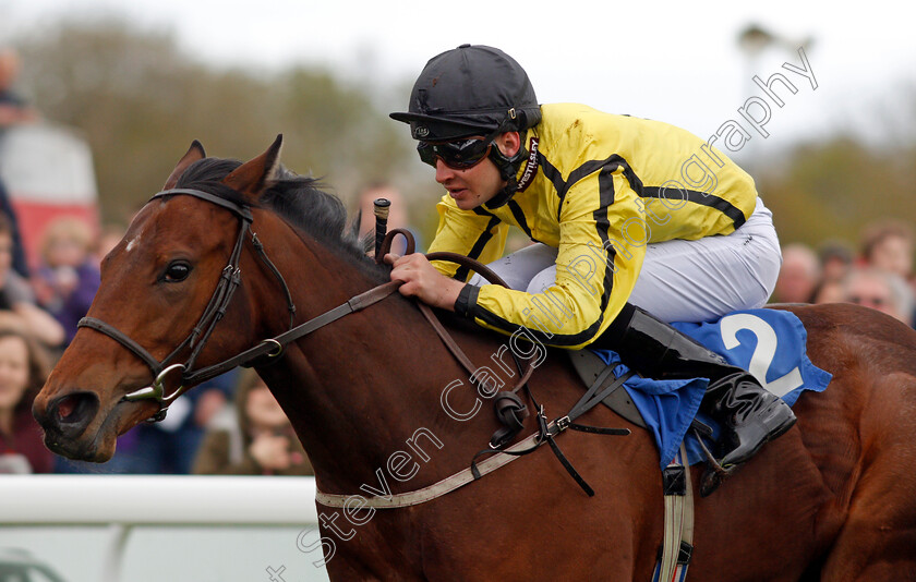 Cotubanama-0006 
 COTUBANAMA (Charles Bishop) wins The Betfred Mobile Fillies Conditions Stakes Salisbury 29 Apr 2018 - Pic Steven Cargill / Racingfotos.com