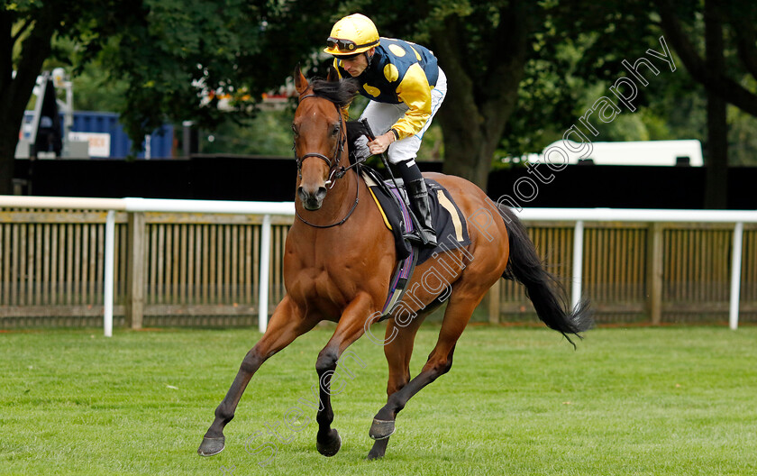 Isle-Of-Lismore-0001 
 ISLE OF LISMORE (Kieran Shoemark)
Newmarket 12 Jul 2024 - Pic Steven Cargill / Racingfotos.com