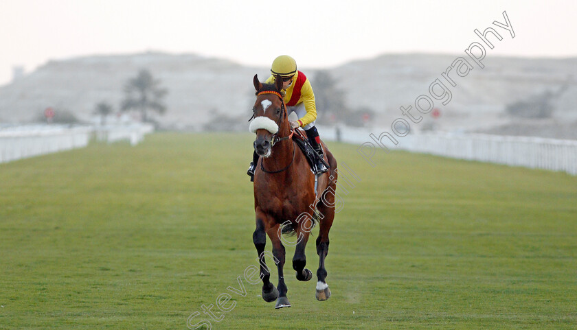 Proposed-0001 
 PROPOSED (Brett Doyle)
Bahrain 22 Nov 2019 - Pic Steven Cargill / Racingfotos.com