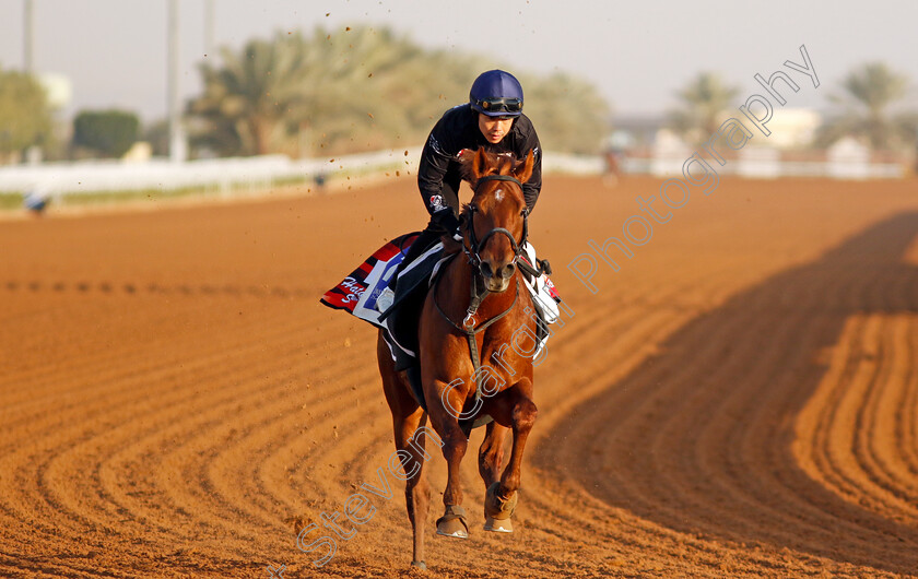 Win-Greatest-0001 
 WIN GREATEST training for The 1351 Turf Sprint
King Abdulaziz Racecourse, Saudi Arabia 21 Feb 2024 - Pic Steven Cargill / Racingfotos.com