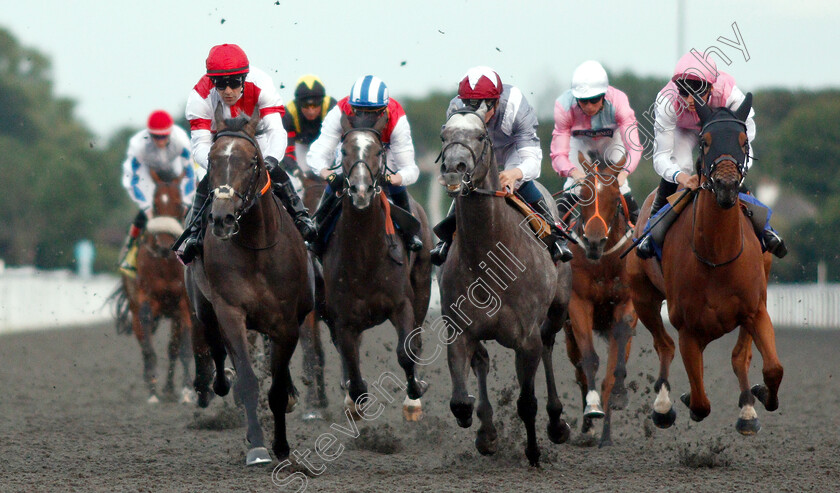 Molivaliente-0005 
 MOLIVALIENTE (left, Kieren Fox) beats NEFARIOUS (centre) and MAID FOR LIFE (right) in The 32Red.com Handicap
Kempton 10 Jul 2019 - Pic Steven Cargill / Racingfotos.com