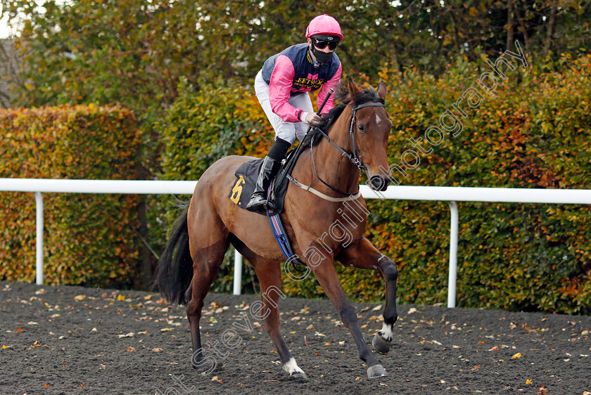 Strange-Brew-0001 
 STRANGE BREW (Charles Bishop)
Kempton 2 Nov 2020 - Pic Steven Cargill / Racingfotos.com