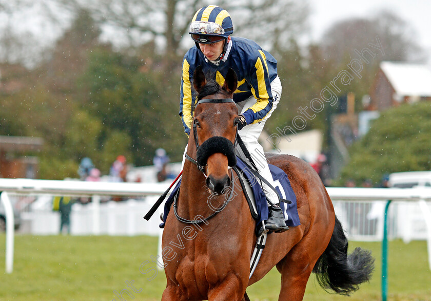 Socialize-0001 
 SOCIALIZE (Alistair Rawlinson) 
Lingfield 15 Feb 2020 - Pic Steven Cargill / Racingfotos.com