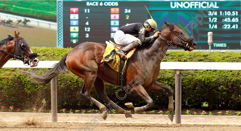 Fixedincome-Larry-0004 
 FIXEDINCOME LARRY (Manuel Franco) wins Maiden Special Weight
Belmont Park 8 Jun 2018 - Pic Steven Cargill / Racingfotos.com