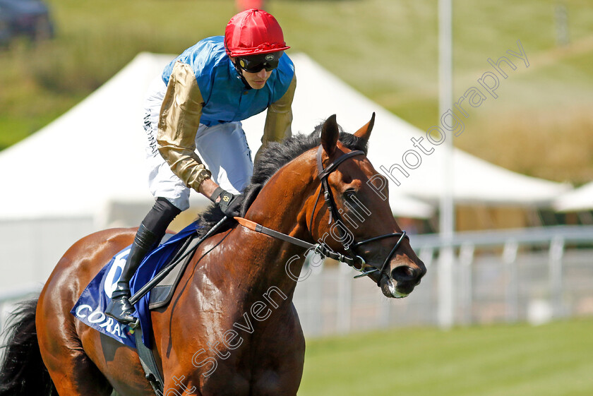 Real-Gain-0001 
 REAL GAIN (James Doyle)
Goodwood 30 Jul 2024 - Pic Steven Cargill / Racingfotos.com