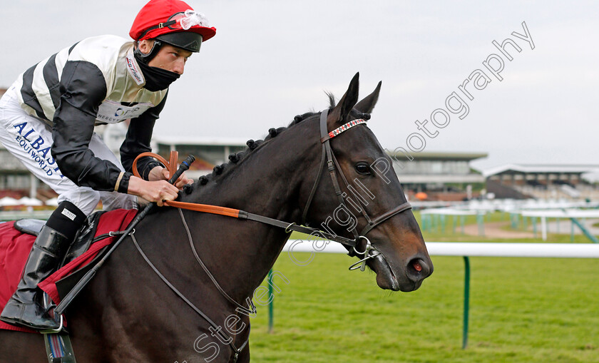 Sea-King-0002 
 SEA KING (Luke Morris)
Haydock 28 May 2021 - Pic Steven Cargill / Racingfotos.com