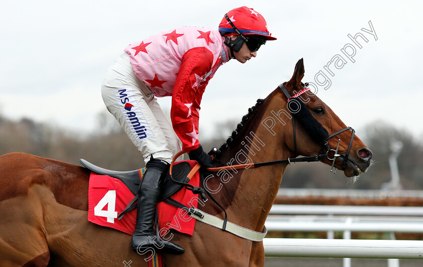 Poker-School-0001 
 POKER SCHOOL (Tom O'Brien)
Kempton 12 Jan 2019 - Pic Steven Cargill / Racingfotos.com