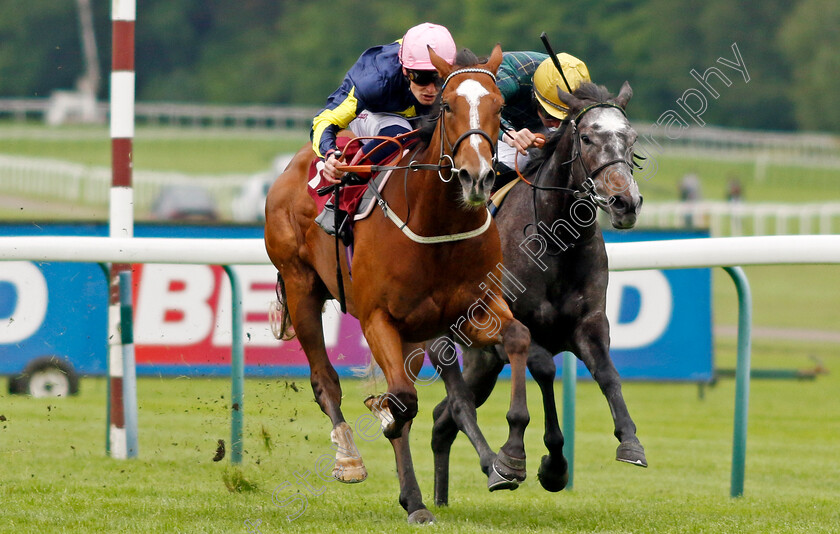 Thewind-Cries-Mary-0005 
 THEWIND CRIES MARY (left, Callum Rodriguez) beats SHEMOZZLE (right) in The Oakmere Homes Supporting Macmillan Fillies Novice Stakes
Haydock 24 May 2024 - Pic Steven Cargill / Racingfotos.com