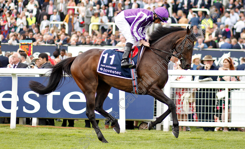 Pink-Dogwood-0001 
 PINK DOGWOOD (Ryan Moore)
Epsom 31 May 2019 - Pic Steven Cargill / Racingfotos.com