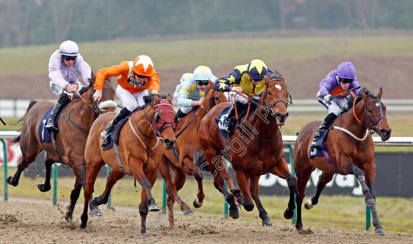 Goring-0002 
 GORING (left, Charles Bishop) beats SURREY HOPE (centre) and BATTLE OF MARATHON (right) in The Play For Free At sunbets.co.uk/vegas Handicap Lingfield 13 Jan 2018 - Pic Steven Cargill / Racingfotos.com