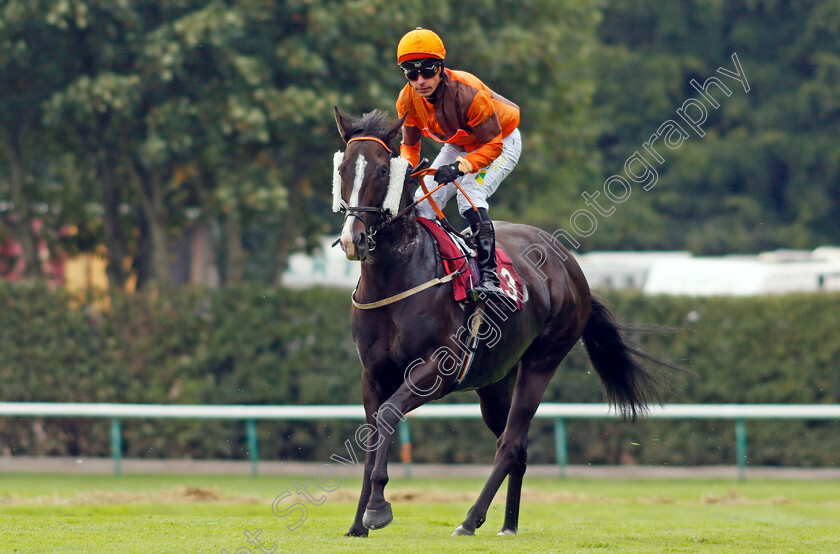 Ghathanfar-0001 
 GHATHANFAR (Dale Swift)
Haydock 2 Sep 2022 - Pic Steven Cargill / Racingfotos.com