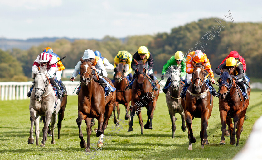 Ice-Station-Zebra-0001 
 ICE STATION ZEBRA (2nd left, Rob Hornby) beats EYE OF THE WATER (2nd right) in The Byerley Stud Handicap
Salisbury 1 Oct 2020 - Pic Steven Cargill / Racingfotos.com