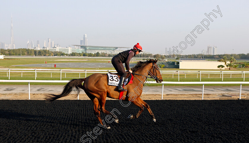 Charging-Thunder-0001 
 CHARGING THUNDER training at Meydan, Dubai
2 Feb 2023 - Pic Steven Cargill / Racingfotos.com